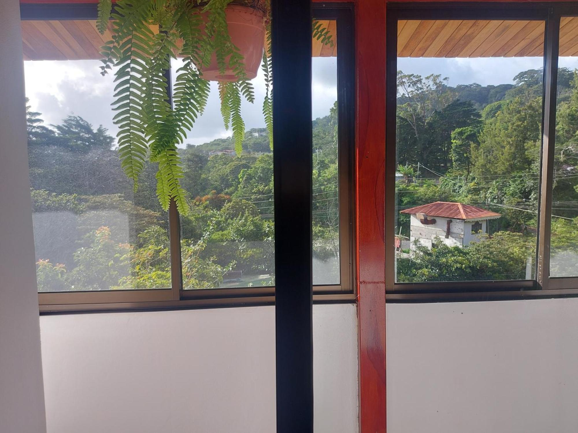 Alisson Hotel Y Restaurant モンテベルデ エクステリア 写真